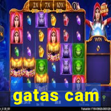 gatas cam